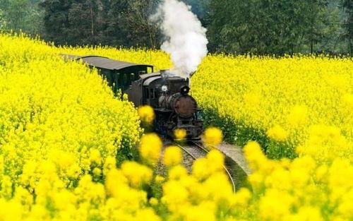 颖儿油菜花爆料了吗视频,颖儿油菜花爆料视频幕后真相揭晓  第3张