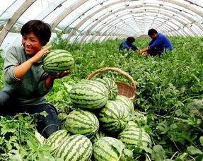 娱乐坊1吃瓜一线 第2张 娱乐坊1吃瓜一线 第2张