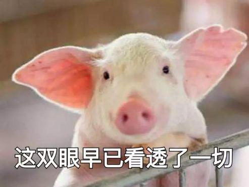 养猪导演爆料视频播放下载 第1张 养猪导演爆料视频播放下载 第1张